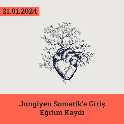 Jungiyen Somatik'e Giriş Eğitim Kaydı